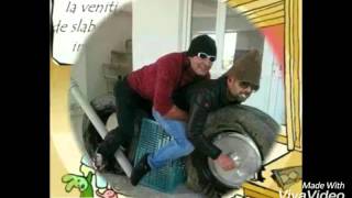 Colaj Cu Poze Haioase