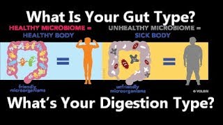What Is Your Gut Type?