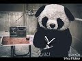 عبدو البرنس 110