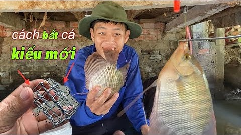 Mùa nước về đi nhấp cá tai tượng thì còn gì bằng | miền quê Tiền Giang