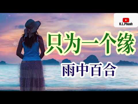 只為一個緣 雨中百合