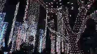 Ayala Triangle Gardens Christmas Lights 2018