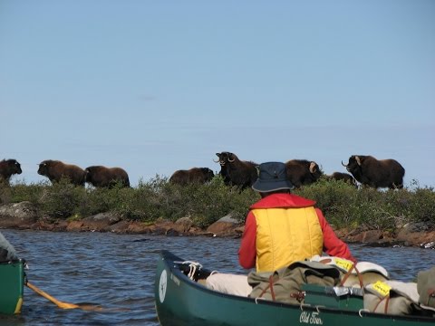 Canoe Arctic Inc. Discover North America's Last Great Wilderness