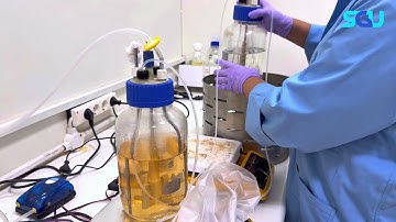 Program Hilirisasi Riset: Pengujian Model & Prototipe Bioreaktor Sinambung Skala Laboratorium