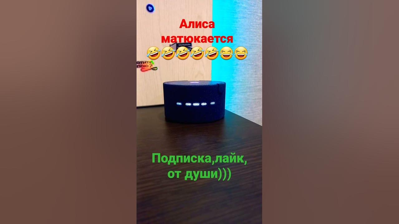 Алиса ругается матом. Алиса с матом. Матерится на алиса колонку. Алиса пранк. Видео алиса ругается с алисой.