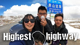 Found a HOMELESS DOG on CRAZY ride to XINJIANG (Snowstorm on China's highest road)| S2, EP39