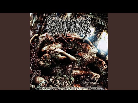 Putar Sacrificial Intestines Removal - Cardiomyotomy