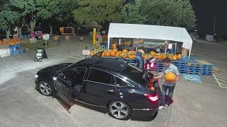 Caught on camera: Thieves target Katy church whose popular pumpkin patch funds community projects