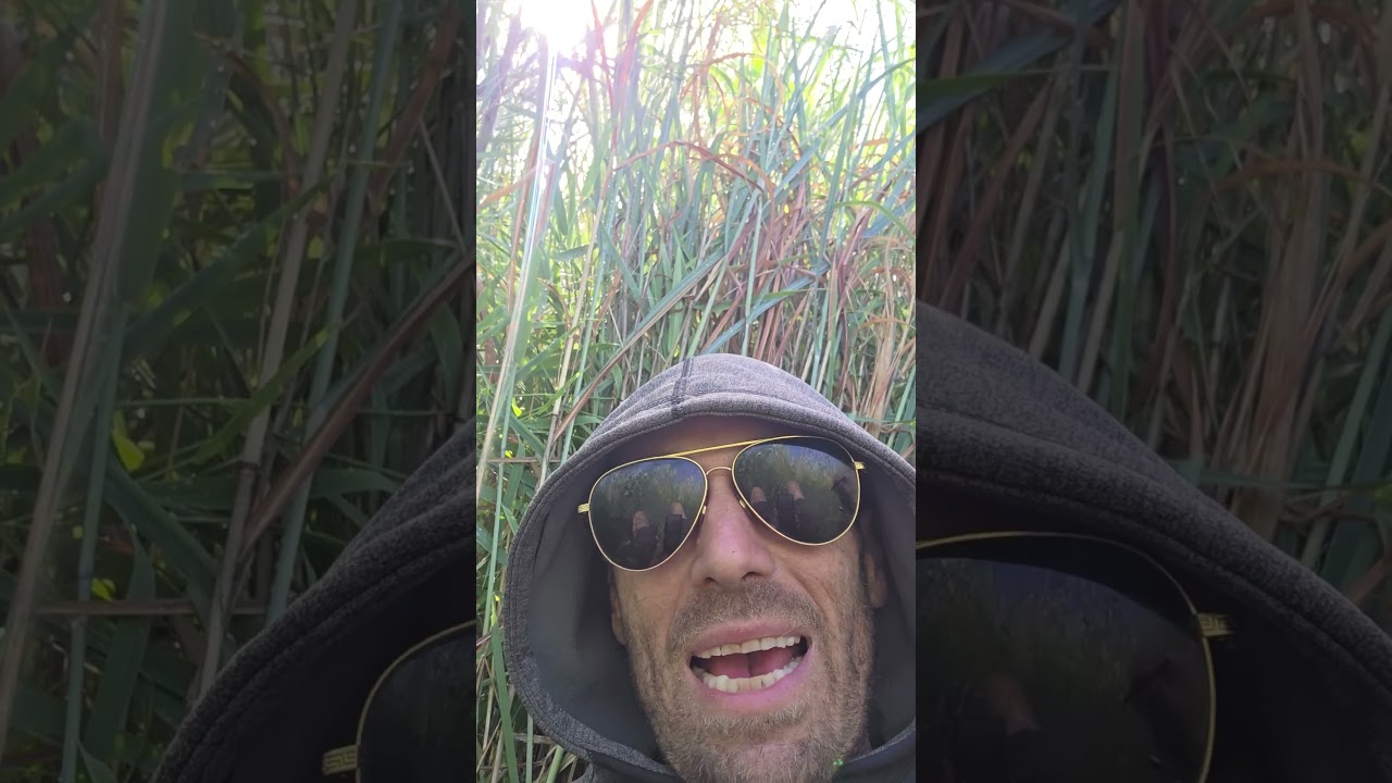 2Hot2Stop(Jado Styles) Freestyle Hiphop Off the Top