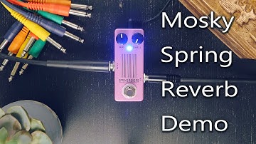 Mosky Spring Reverb Demo playthrough (no talking)