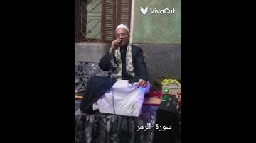 الشيخ سيد محمد الديب  من سورة الزمر