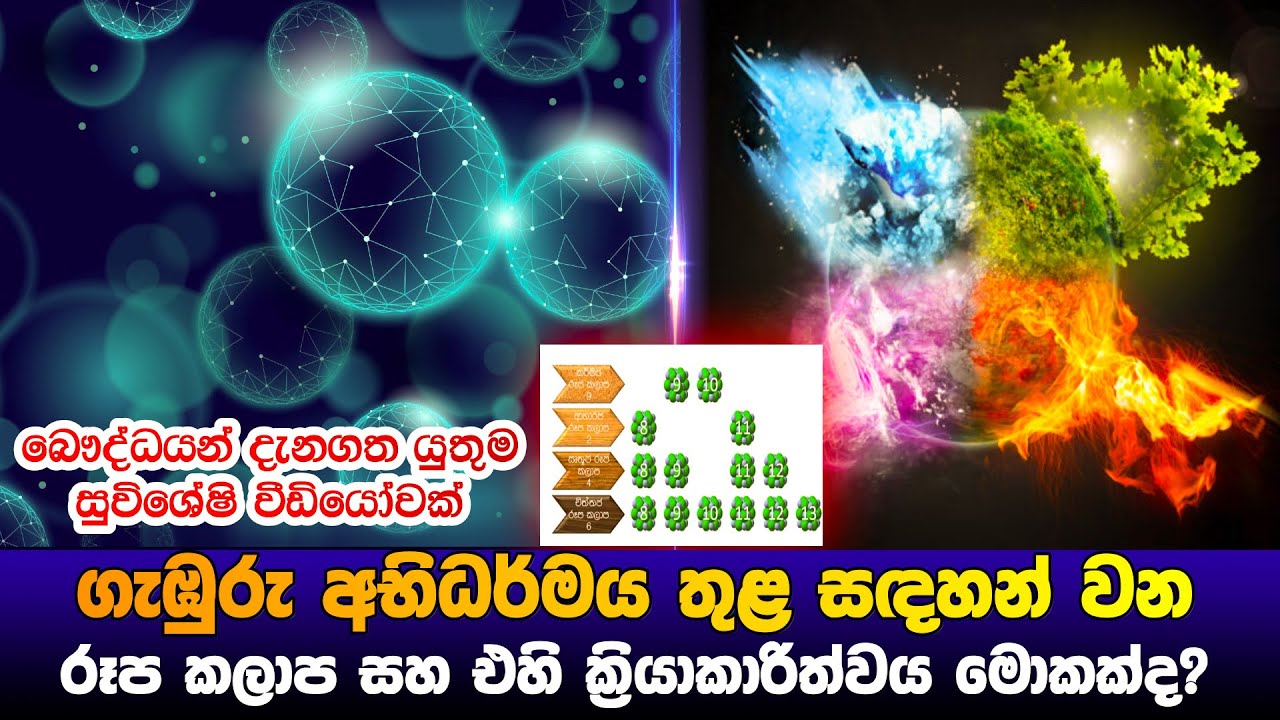 ගැඹුරු අභිධර්මයේ සදහන් රූප කලාප සහ එහි ක්‍රියාකාරිත්වය ‌මොන වගේද?