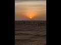 ما نشدت الشمس عن حزن الغياب علمتنا الشمس نرضى بالرحيل