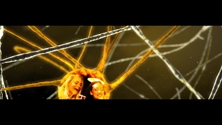 EY Entrepreneur of the Year - Gala Opening Video