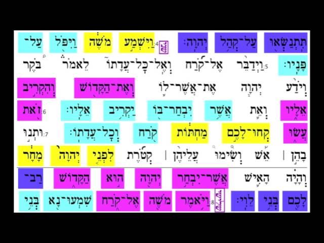 Korach 7
