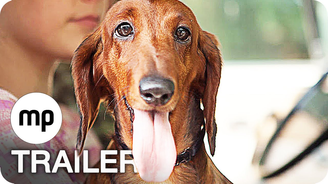 wiener dog trailer wiener dog trailer