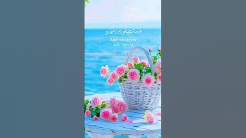 #اكسبلور #دويتو #duet #لايك #keşfet #راحة_نفسية #حالات_واتس #love #فولو #تيك_توك #قران كريم #تلاوات