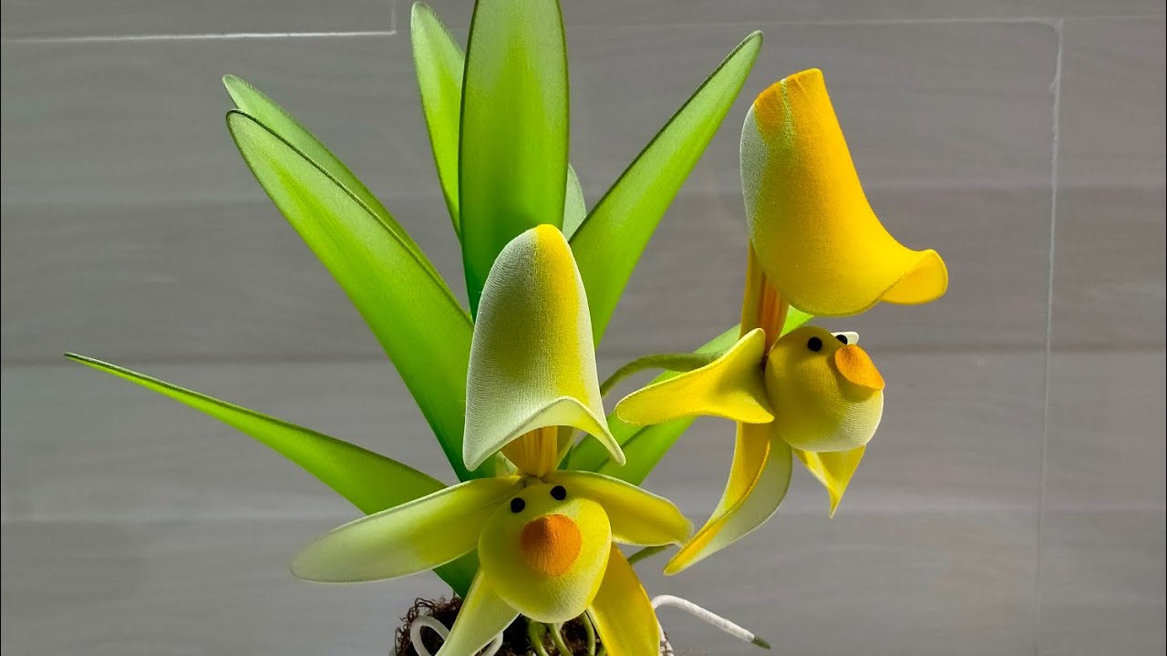 Cách Làm Hoa Lan Mặt Khỉ Bằng Vải Voan