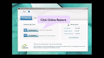 Viper Online Backup   Restoring Files & Unlimited Versioning