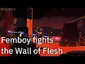 Femboy ai struggles to fight the wall of flesh reupload