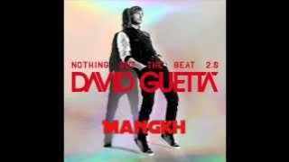 Download lagu David Guetta - She Wolf [HQ]