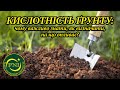 Кислотність ґрунту: на що впливає та як визначати?