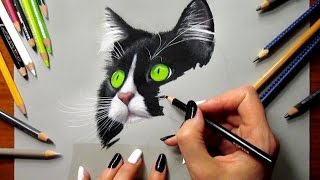 Colored Pencil Drawing: Tuxedo Cat - Speed Draw | Jasmina Susak