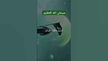 #قرآن_كريم #ايات #تلاوات #تيك_توك #تلاوه #اكسبلور #لايك #quran #دويتو #قران #قرآن