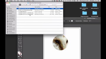 Illustrator Understanding Linked Files