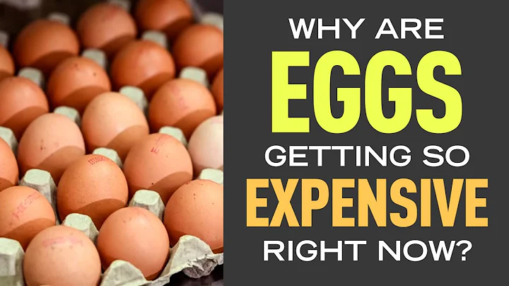 Why are eggs getting so expensive right now? Just One Question!
