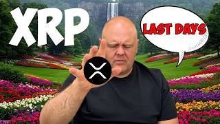 Ripple XRP DAVID SCHWARTZ CONFIRMED BRANDON BRIGGS CLARITY PROPHECY I CANT BELIEVE IT!!!!!