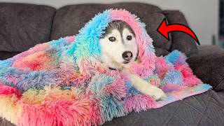 Is This the Prettiest Softest Blanket Ever?