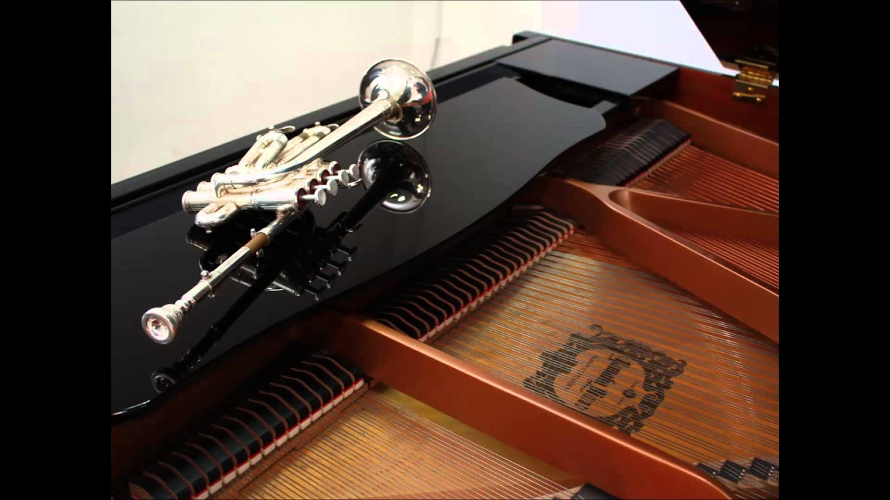 Tomaso Albinoni Adagio en sol menor, in G minor.(Piccolo trumpet in B