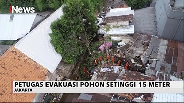 Hujan dan Angin Kencang, Sebuah Pohon Tumbang, Enam Rumah Rusak - iNews Malam 17/10