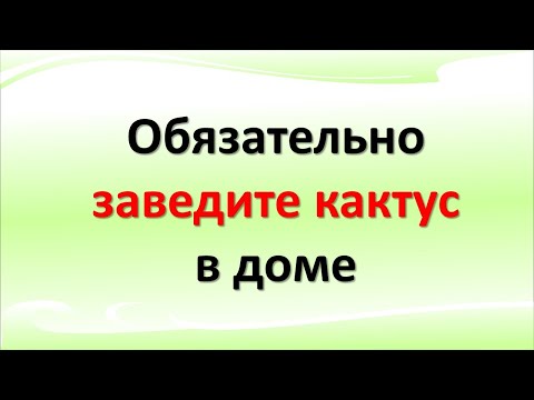 Обязательно заведите кактус в доме. Народные приметы, связанные с кактусом