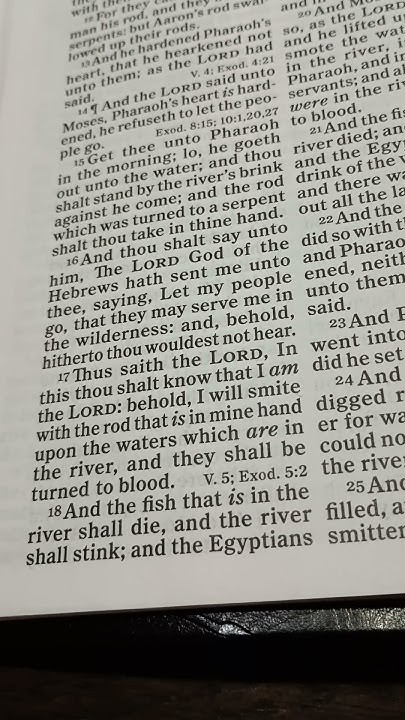 Bible Reading Exodus Chapter 7 Verse 17 bible bibleverse bible-reading-exodus-chapter-7-verse-17-bible-bibleverse