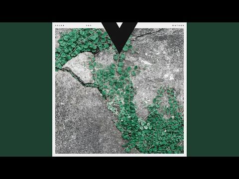 Video: Sedum False (39 Kuvaa): Maanpeitteen Sedumin Istutus Ja Hoito, Siemenistä Kasvavien Lajikkeiden 