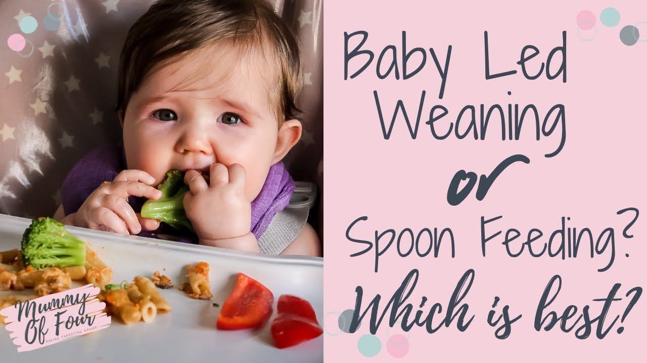 A guide to traditional spoon-fed weaning