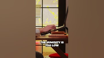 Your Smart Home Needs THIS Air Quality Sensor!