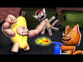 Banana Cat - survival in roblox - ALL EPISODES (Roblox Animation)