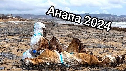 Thumbnail of песня Трагедия в Анапе 2024