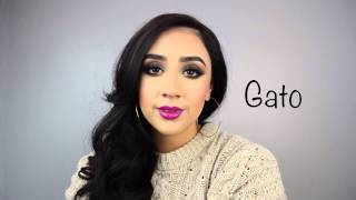 Gato | Word Of The Day