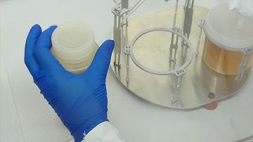 BMFS laboratory protocol - Elution clean-up and pH adjustment