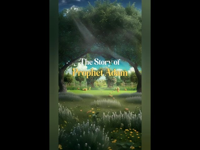 The First Human (Last Part) #islam #adam #paradise