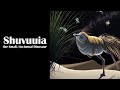 Shuvuuia  le petit dinosaure nocturne