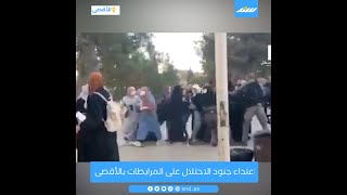 اعتداء جنود الاحتلال على المرابطات بالأقصى