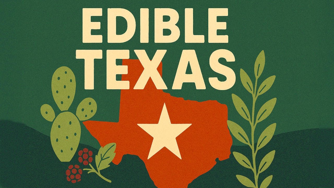What Wild Edible Plants Can I Forage in Texas?
