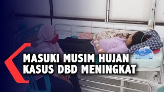 Masuki Musim Hujan, Kasus Demam Berdarah Meningkat