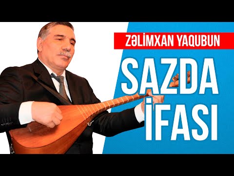 Zəlimxan Yaqubun sazda ifası / Nə gözəl ifa
