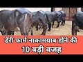 10 Major Reasons Why Dairy Farms Fail ☝️ डेयरी फार्म नाकामयाब होने की 10 बड़ी वजह